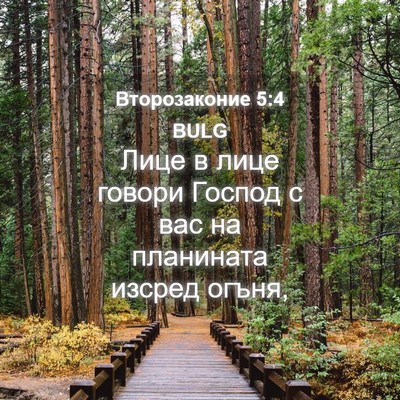 Picture 04 - Второзаконие 5:4 BULG - Лице в лице говори Господ с - Bible Verse Picture