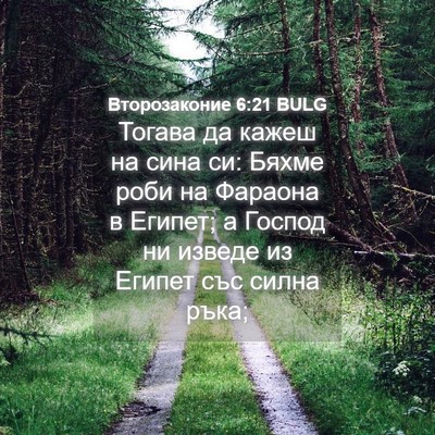 Picture 04 - Второзаконие 6:21 BULG - Тогава да кажеш на сина си: - Bible Verse Picture