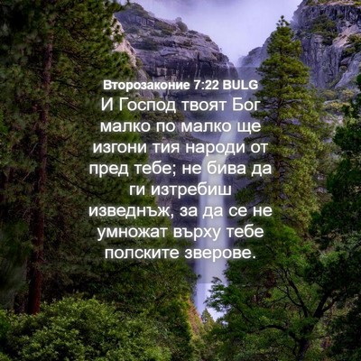 Picture 04 - Второзаконие 7:22 BULG - И Господ твоят Бог малко по - Bible Verse Picture