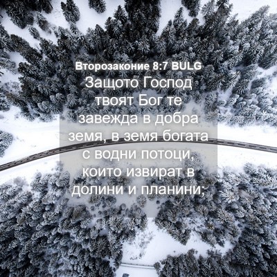 Picture 04 - Второзаконие 8:7 BULG - Защото Господ твоят Бог те - Bible Verse Picture