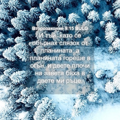 Picture 04 - Второзаконие 9:15 BULG - И тъй, като се обърнах - Bible Verse Picture