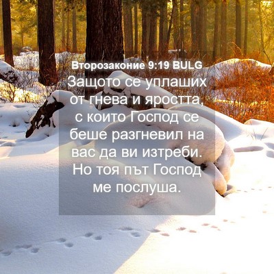Picture 04 - Второзаконие 9:19 BULG - Защото се уплаших от гнева - Bible Verse Picture