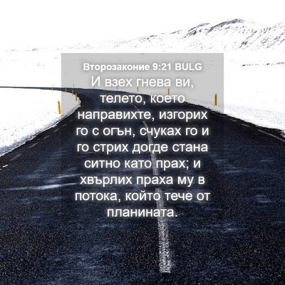 Picture 04 - Второзаконие 9:21 BULG - И взех гнева ви, телето, - Bible Verse Picture