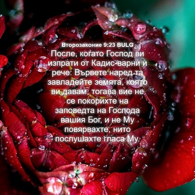 Picture 04 - Второзаконие 9:23 BULG - После, когато Господ ви - Bible Verse Picture
