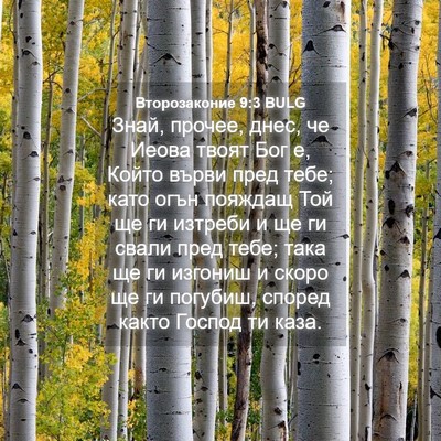 Picture 04 - Второзаконие 9:3 BULG - Знай, прочее, днес, че Иеова - Bible Verse Picture