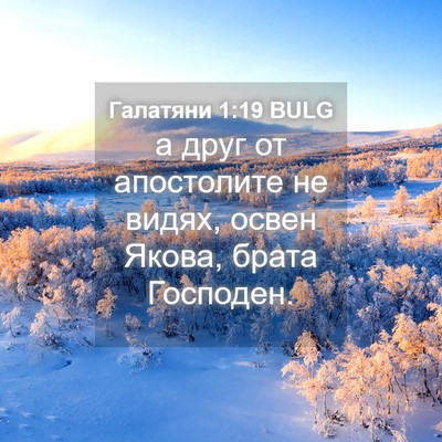 Picture 04 - Галатяни 1:19 BULG - а друг от апостолите не - Bible Verse Picture