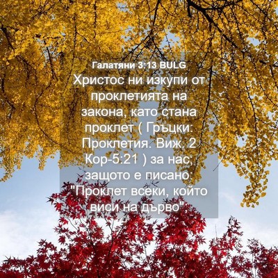 Picture 04 - Галатяни 3:13 BULG - Христос ни изкупи от - Bible Verse Picture