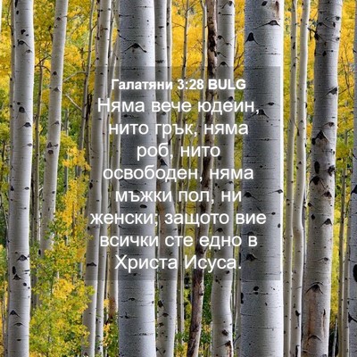 Picture 04 - Галатяни 3:28 BULG - Няма вече юдеин, нито грък, - Bible Verse Picture