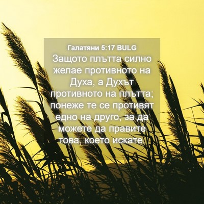 Picture 04 - Галатяни 5:17 BULG - Защото плътта силно желае - Bible Verse Picture
