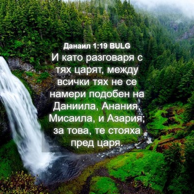 Picture 04 - Данаил 1:19 BULG - И като разговаря с тях - Bible Verse Picture