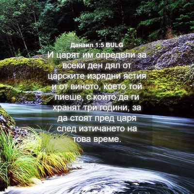 Picture 04 - Данаил 1:5 BULG - И царят им определи за - Bible Verse Picture