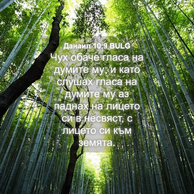 Picture 04 - Данаил 10:9 BULG - Чух обаче гласа на думите - Bible Verse Picture