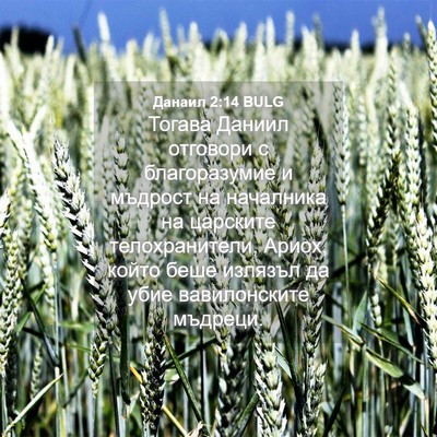 Picture 04 - Данаил 2:14 BULG - Тогава Даниил отговори с - Bible Verse Picture