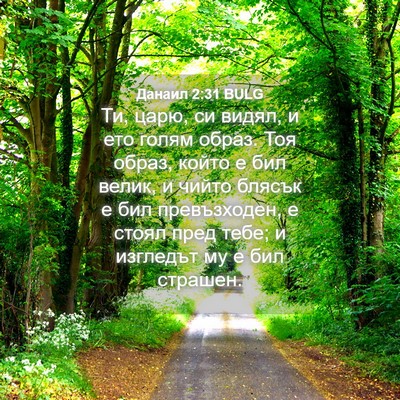 Picture 04 - Данаил 2:31 BULG - Ти, царю, си видял, и ето - Bible Verse Picture