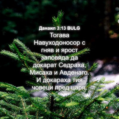 Picture 04 - Данаил 3:13 BULG - Тогава Навуходоносор с - Bible Verse Picture
