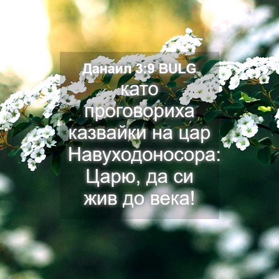Picture 04 - Данаил 3:9 BULG - като проговориха казвайки - Bible Verse Picture