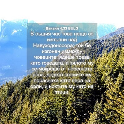 Picture 04 - Данаил 4:33 BULG - В същия час това нещо се - Bible Verse Picture