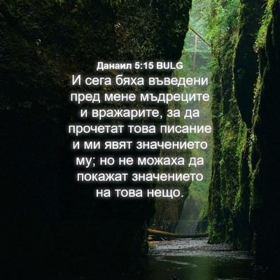 Picture 04 - Данаил 5:15 BULG - И сега бяха въведени пред - Bible Verse Picture