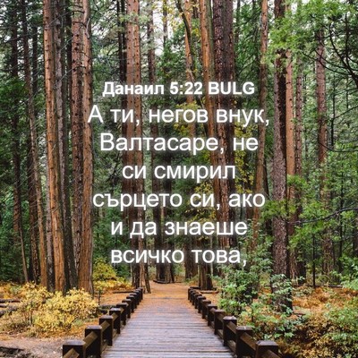 Picture 04 - Данаил 5:22 BULG - А ти, негов внук, Валтасаре, - Bible Verse Picture