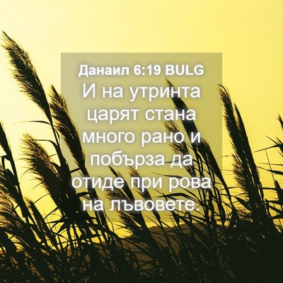 Picture 04 - Данаил 6:19 BULG - И на утринта царят стана - Bible Verse Picture