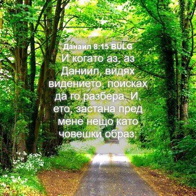 Picture 04 - Данаил 8:15 BULG - И когато аз, аз Даниил, - Bible Verse Picture