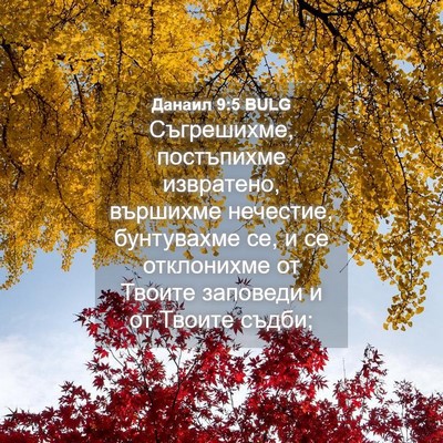 Picture 04 - Данаил 9:5 BULG - Съгрешихме, постъпихме - Bible Verse Picture