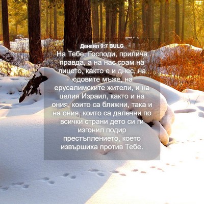 Picture 04 - Данаил 9:7 BULG - На Тебе, Господи, прилича - Bible Verse Picture