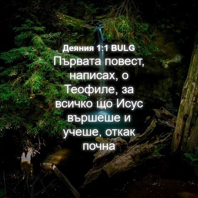 Picture 04 - Деяния 1:1 BULG - Първата повест, написах, о - Bible Verse Picture