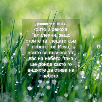 Picture 04 - Деяния 1:11 BULG - които и рекоха: Галилеяни, - Bible Verse Picture