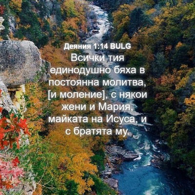 Picture 04 - Деяния 1:14 BULG - Всички тия единодушно бяха - Bible Verse Picture