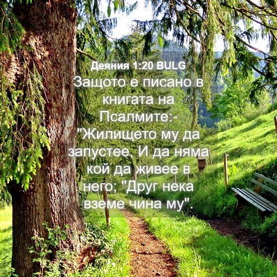 Picture 04 - Деяния 1:20 BULG - Защото е писано в книгата - Bible Verse Picture