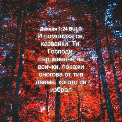 Picture 04 - Деяния 1:24 BULG - И помолиха се, казвайки: Ти, - Bible Verse Picture
