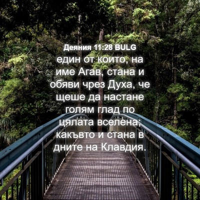 Picture 04 - Деяния 11:28 BULG - един от които, на име Агав, - Bible Verse Picture