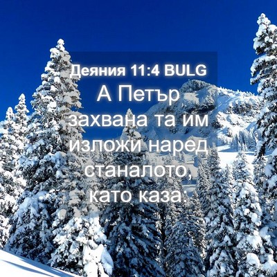 Picture 04 - Деяния 11:4 BULG - А Петър захвана та им - Bible Verse Picture