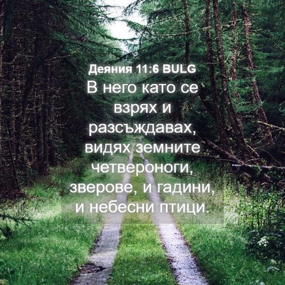 Picture 04 - Деяния 11:6 BULG - В него като се взрях и - Bible Verse Picture