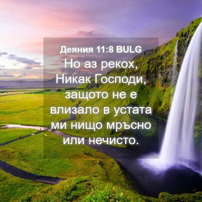 Picture 04 - Деяния 11:8 BULG - Но аз рекох, Никак Господи, - Bible Verse Picture