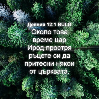 Picture 04 - Деяния 12:1 BULG - Около това време цар Ирод - Bible Verse Picture