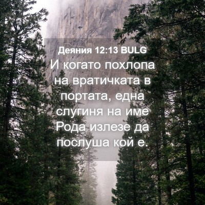 Picture 04 - Деяния 12:13 BULG - И когато похлопа на - Bible Verse Picture