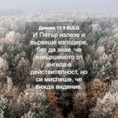 Picture 04 - Деяния 12:9 BULG - И Петър излезе и вървеше - Bible Verse Picture