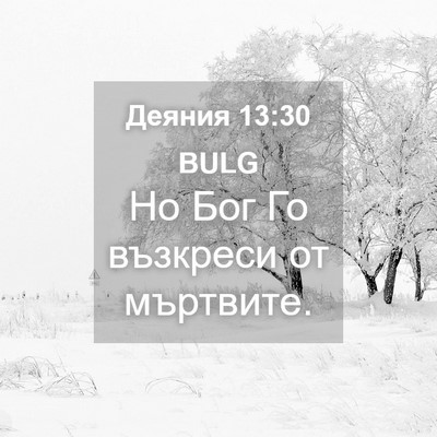 Picture 04 - Деяния 13:30 BULG - Но Бог Го възкреси от - Bible Verse Picture