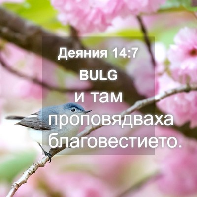 Picture 04 - Деяния 14:7 BULG - и там проповядваха - Bible Verse Picture