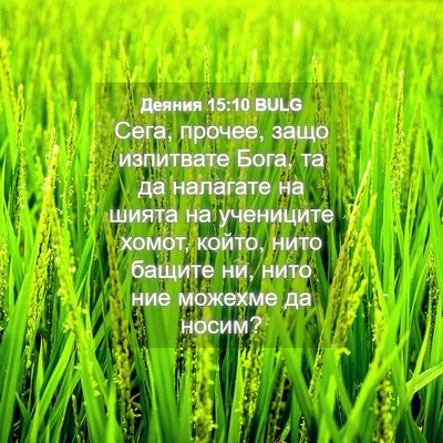 Picture 04 - Деяния 15:10 BULG - Сега, прочее, защо - Bible Verse Picture