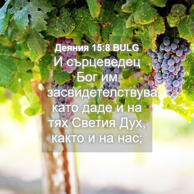 Picture 04 - Деяния 15:8 BULG - И сърцеведец Бог им - Bible Verse Picture