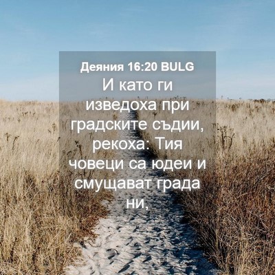 Picture 04 - Деяния 16:20 BULG - И като ги изведоха при - Bible Verse Picture