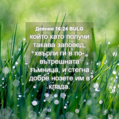 Picture 04 - Деяния 16:24 BULG - който като получи такава - Bible Verse Picture
