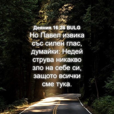 Picture 04 - Деяния 16:28 BULG - Но Павел извика със силен - Bible Verse Picture