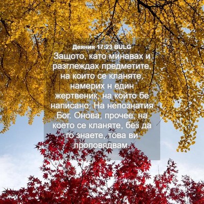 Picture 04 - Деяния 17:23 BULG - Защото, като минавах и - Bible Verse Picture