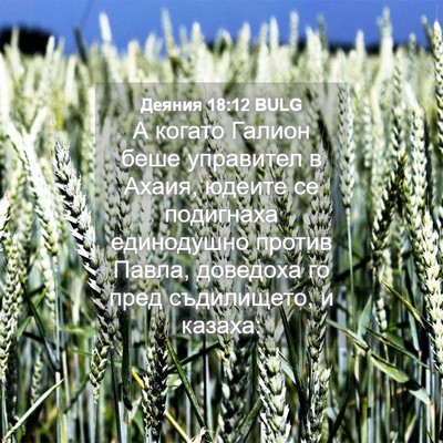 Picture 04 - Деяния 18:12 BULG - А когато Галион беше - Bible Verse Picture