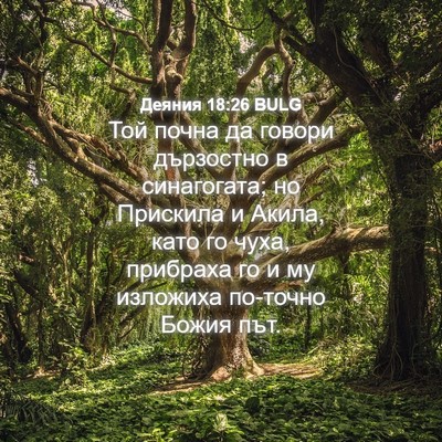 Picture 04 - Деяния 18:26 BULG - Той почна да говори - Bible Verse Picture