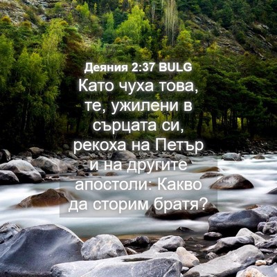 Picture 04 - Деяния 2:37 BULG - Като чуха това, те, ужилени - Bible Verse Picture